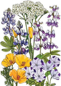 California Coastal Mix