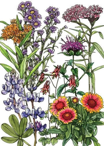 Northeast Mix