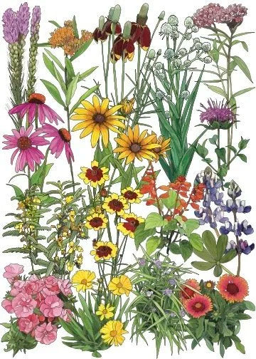 Southeast Mix